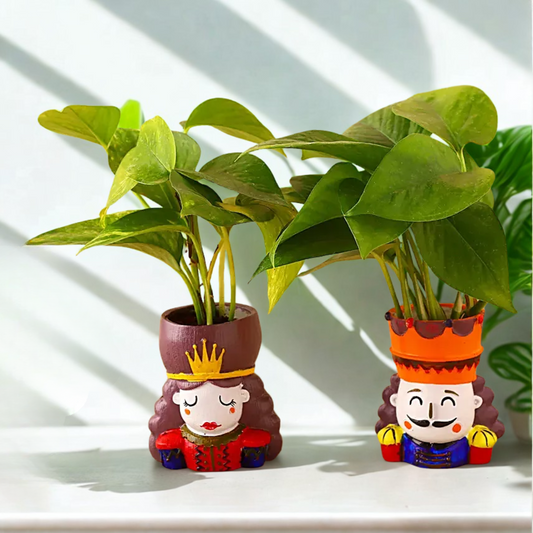 Money Plant King N Queen Pot Set
