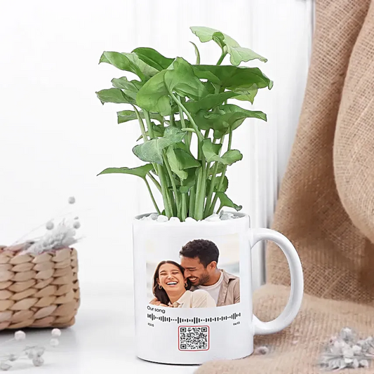 Syngonium Plant In a Personalised Mug